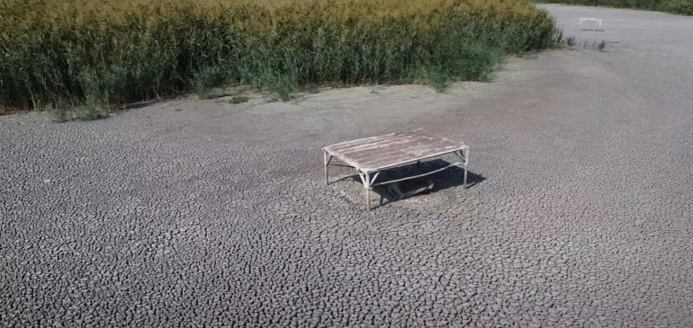 Teljesen kiszáradtak a Kakasszéki-tavak