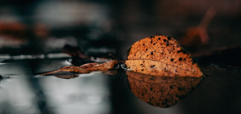 Így érkezik a lehűlés ma nyugatra (animációval)