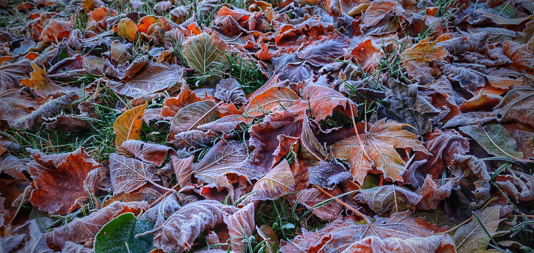 Jelentős lehűlés körvonalazódik november elején