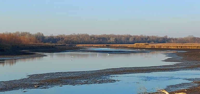 Több mint másfél méterrel csökkentették a Tisza-tó vízszintjét