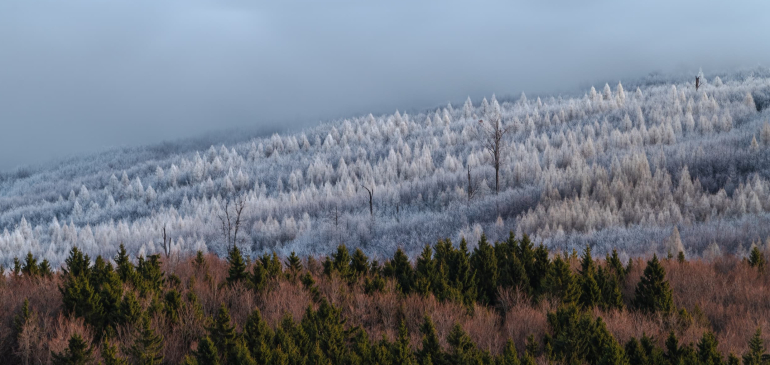 Zúzmarába zárja a hegyeket a hidegpárna