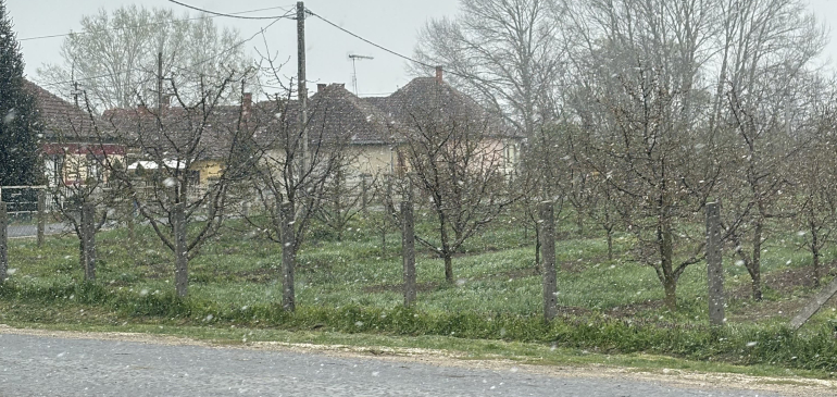 kapcsolódó tartalom