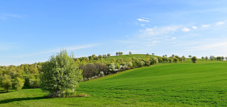 kapcsolódó tartalom