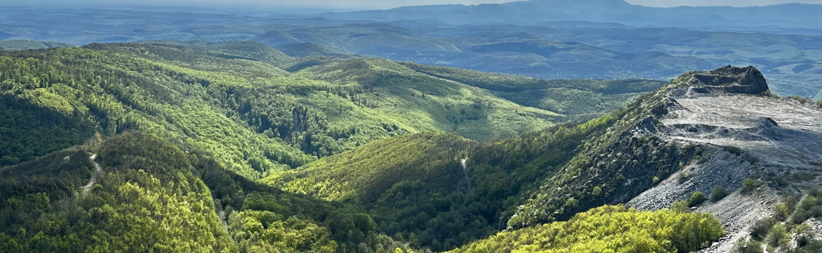 illusztráció