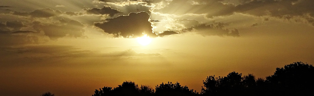 illusztráció