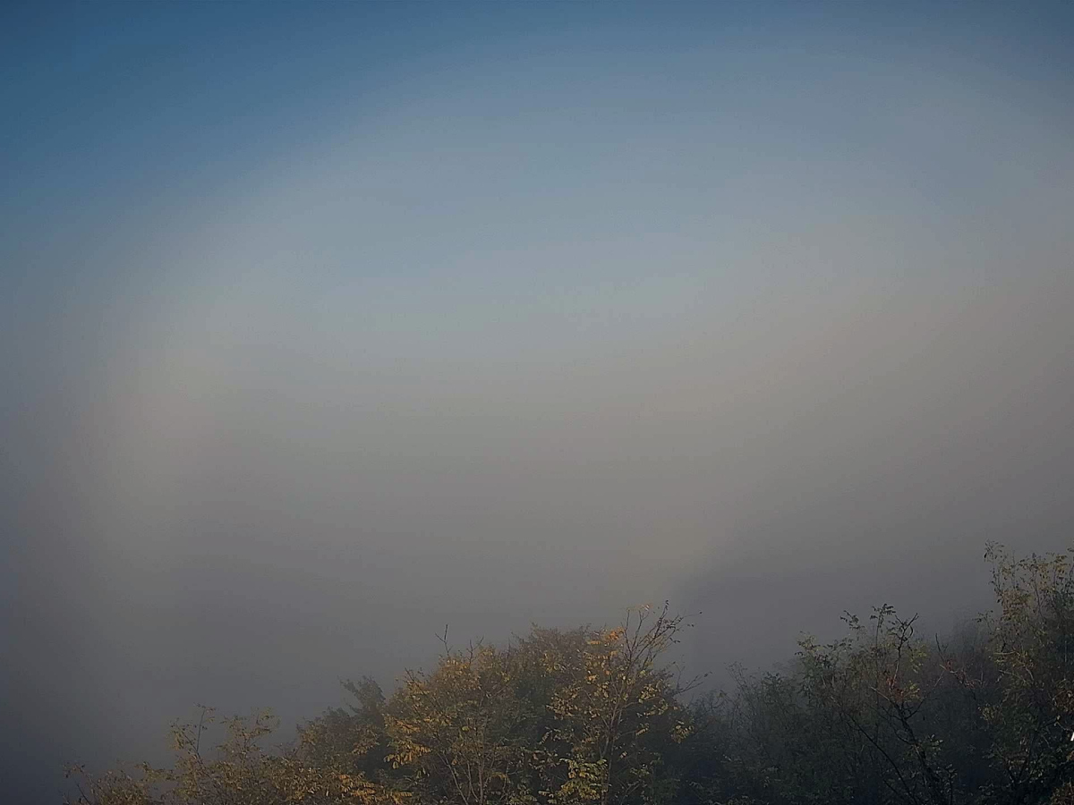 illusztráció