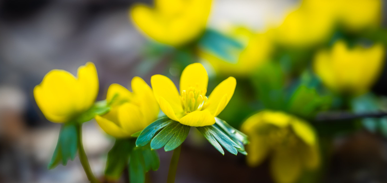 kapcsolódó tartalom