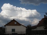 1Galagonya fotója