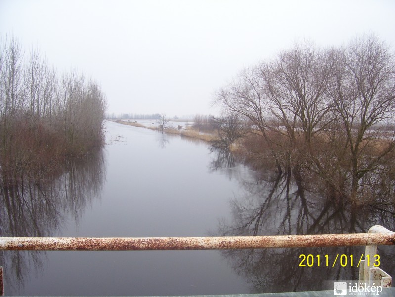 Árvíz