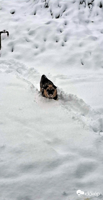 Élvezi élete első havát :)