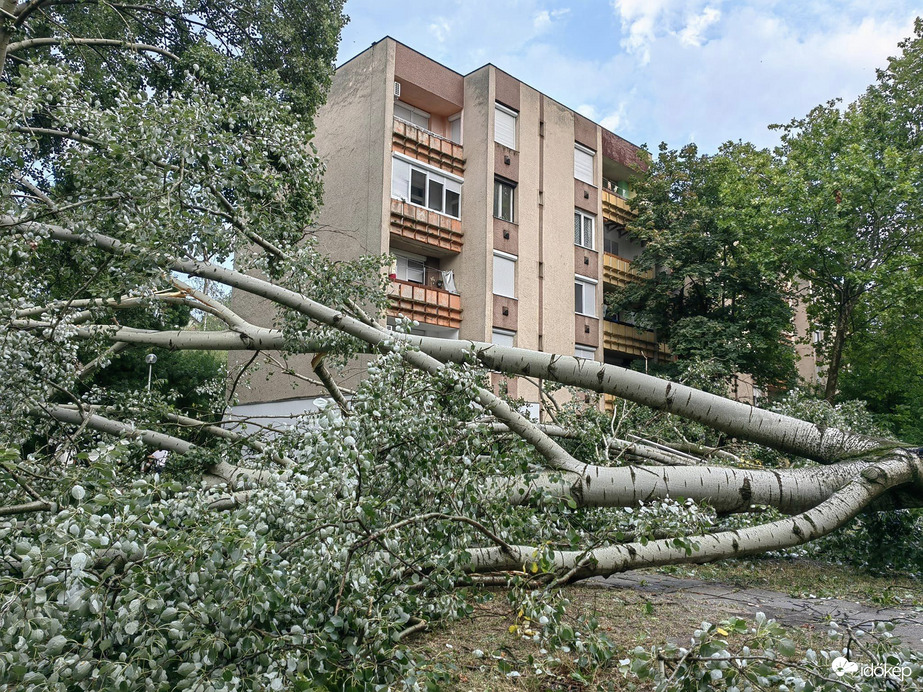 Hódmezővásárhely a csata után