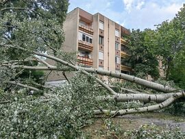 Hódmezővásárhely a csata után