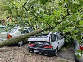 Hódmezővásárhely 