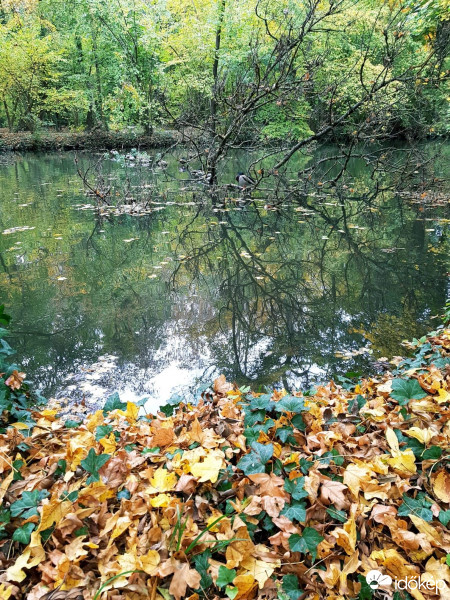 Budapest X.ker - Kőbánya