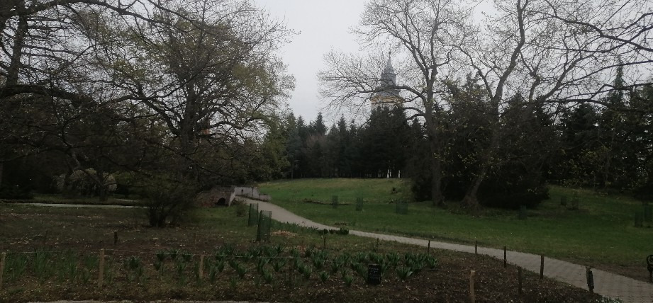 Tiszakürt