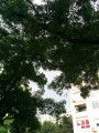 Budapest XI.ker - Kelenföld