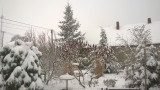 Bejcgyertyános