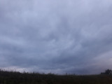 Hódmezővásárhely
