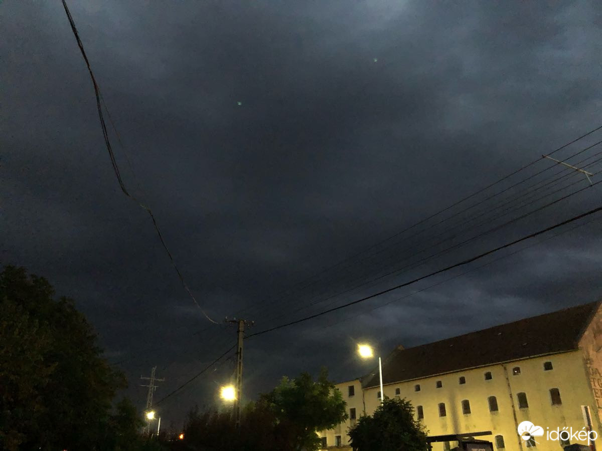 Gyula