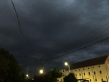 Gyula