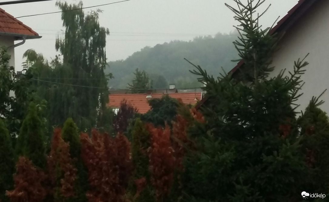 Zirc