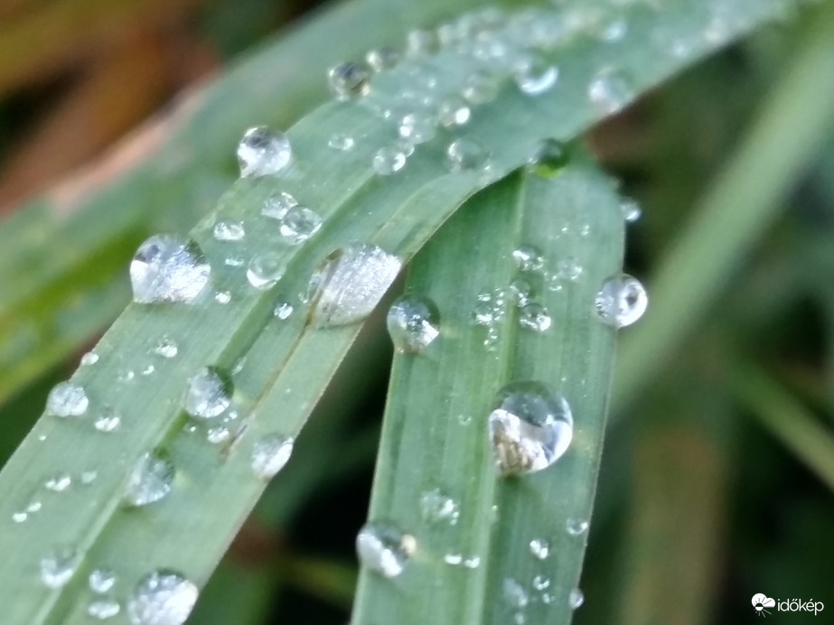 Olvadva-Visszafagyva