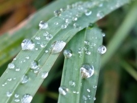 Olvadva-Visszafagyva