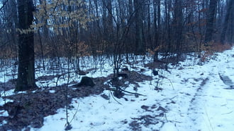 1hónap  (28. napja hótakarós )