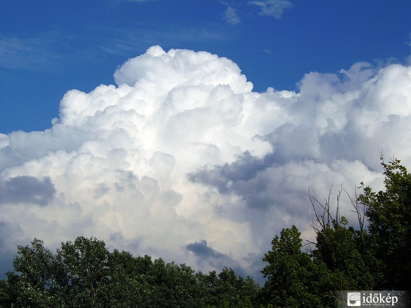 Cumulus 