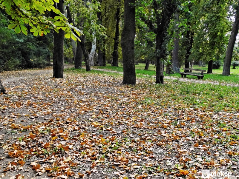 Őszi nyugalom...