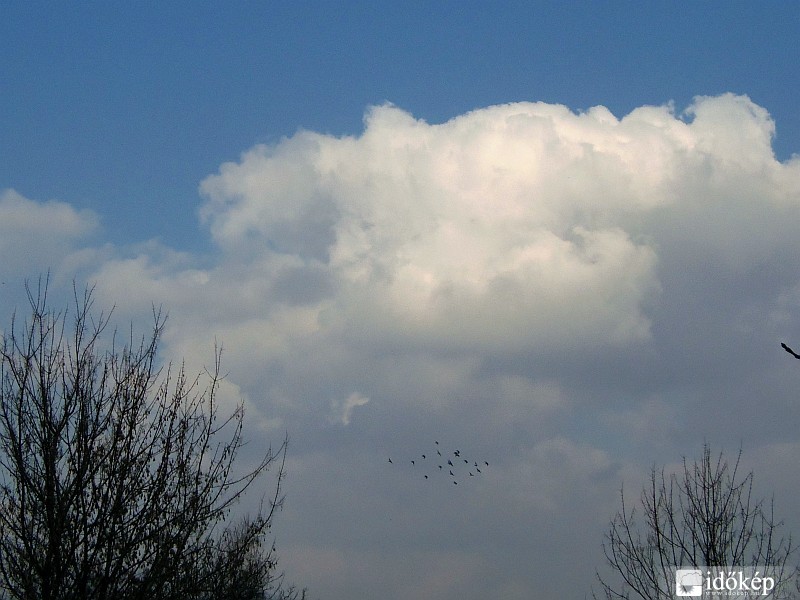 felhő