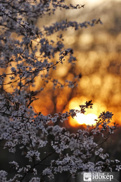 Tavaszias naplemente