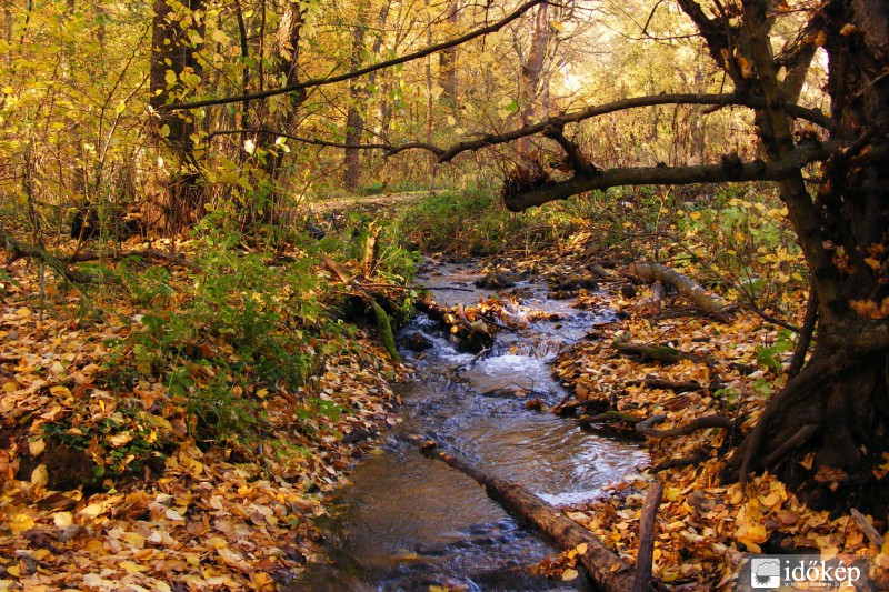 A Király-kút forrás felé