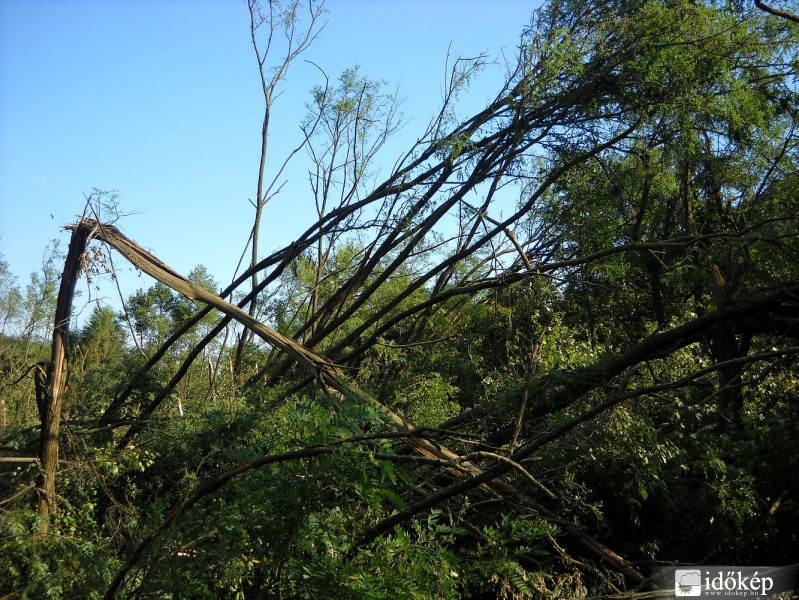 A diósjenői tornádó nyomai