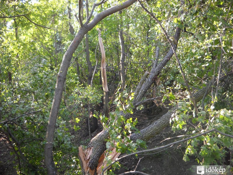 A diósjenői tornádó nyomai