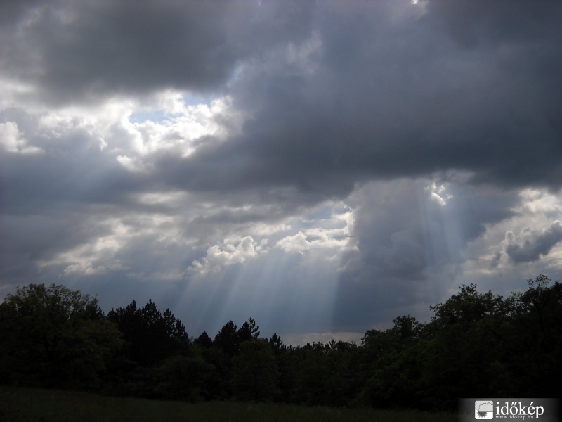 Börzsöny-Törökmező 2010-05-21