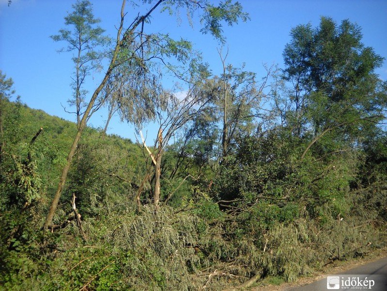 A diósjenői tornádó nyomai