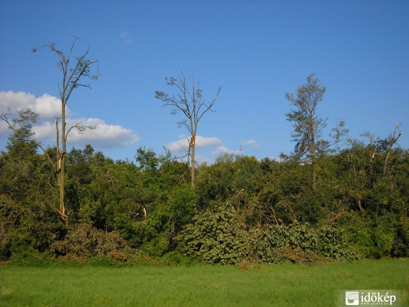 A diósjenői tornádó nyomai