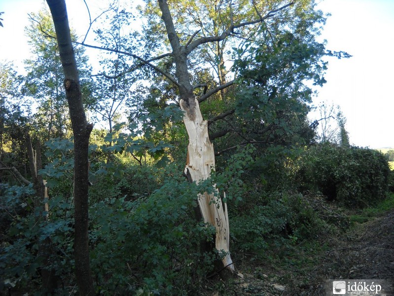 A diósjenői tornádó nyomai