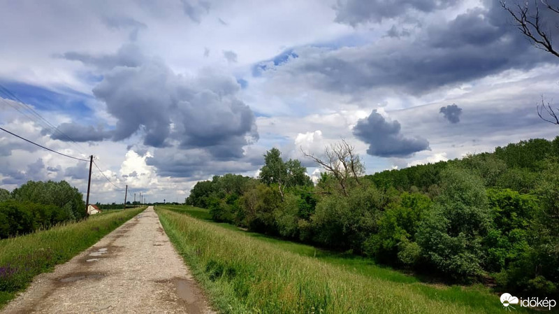 Bear River