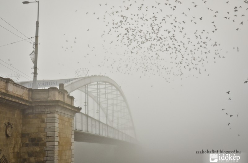 Reggeli köd a Tisza fölött.