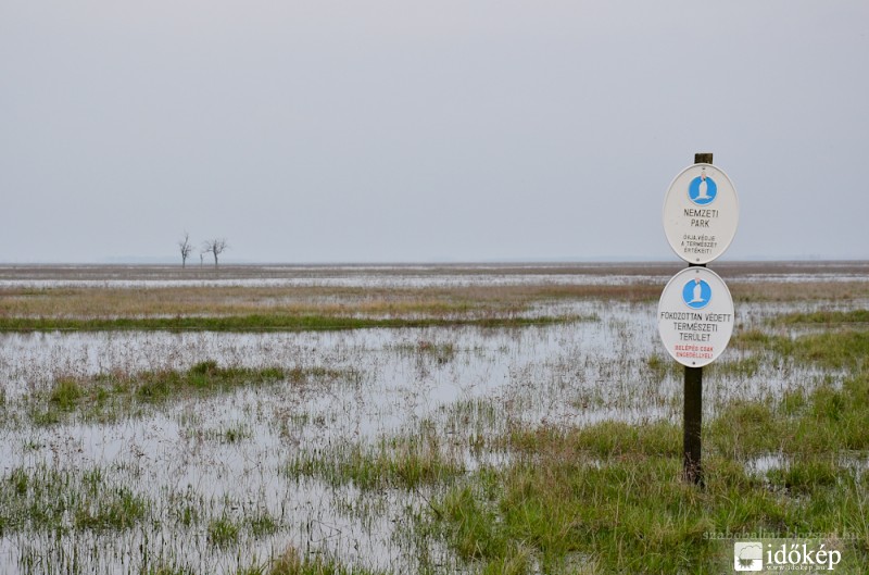 Az Alföldön a víz az úr