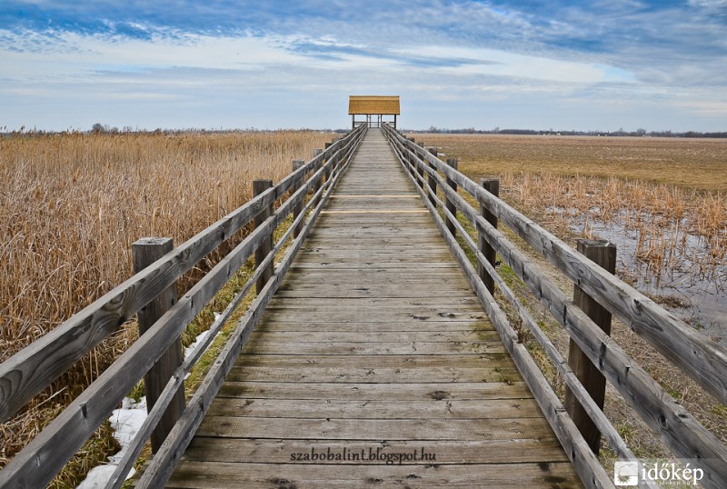 Mórahalom, Nagyszéksós-tó kilátó