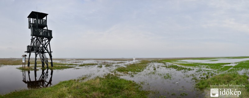 Az Alföldön a víz az úr