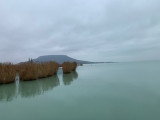 Balatonfenyves