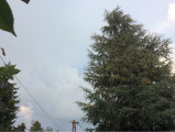 Balatonalmádi