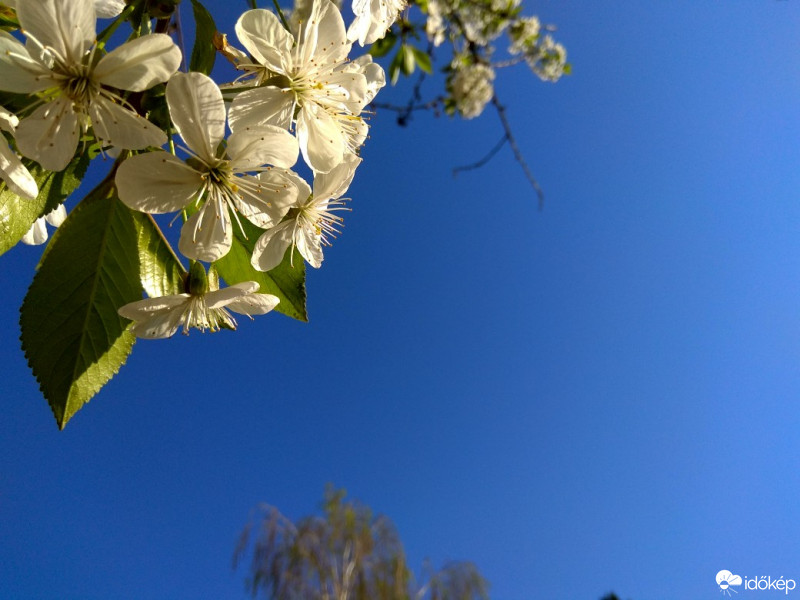 Budapest XVII.ker - Rákosliget