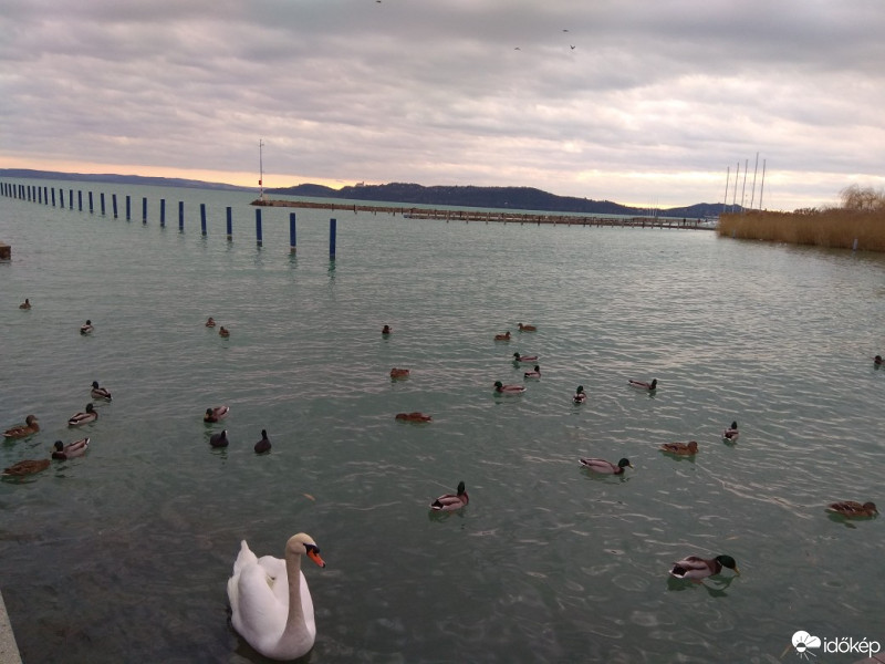Balatonfüred