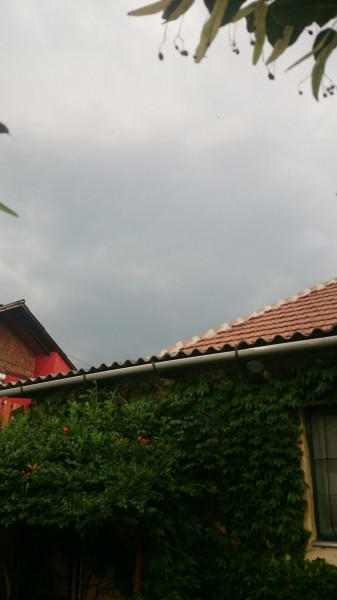 Kerekharaszt