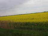 Röszke